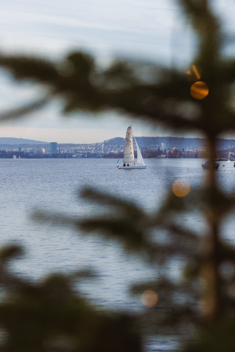 Ein Segelboot gleitet auf einem ruhigen See in der Nähe von Chalet am See, mit einer Stadtlandschaft und Hügeln im Hintergrund. Unscharfe immergrüne Zweige umrahmen den Vordergrund und verdecken teilweise die Sicht.