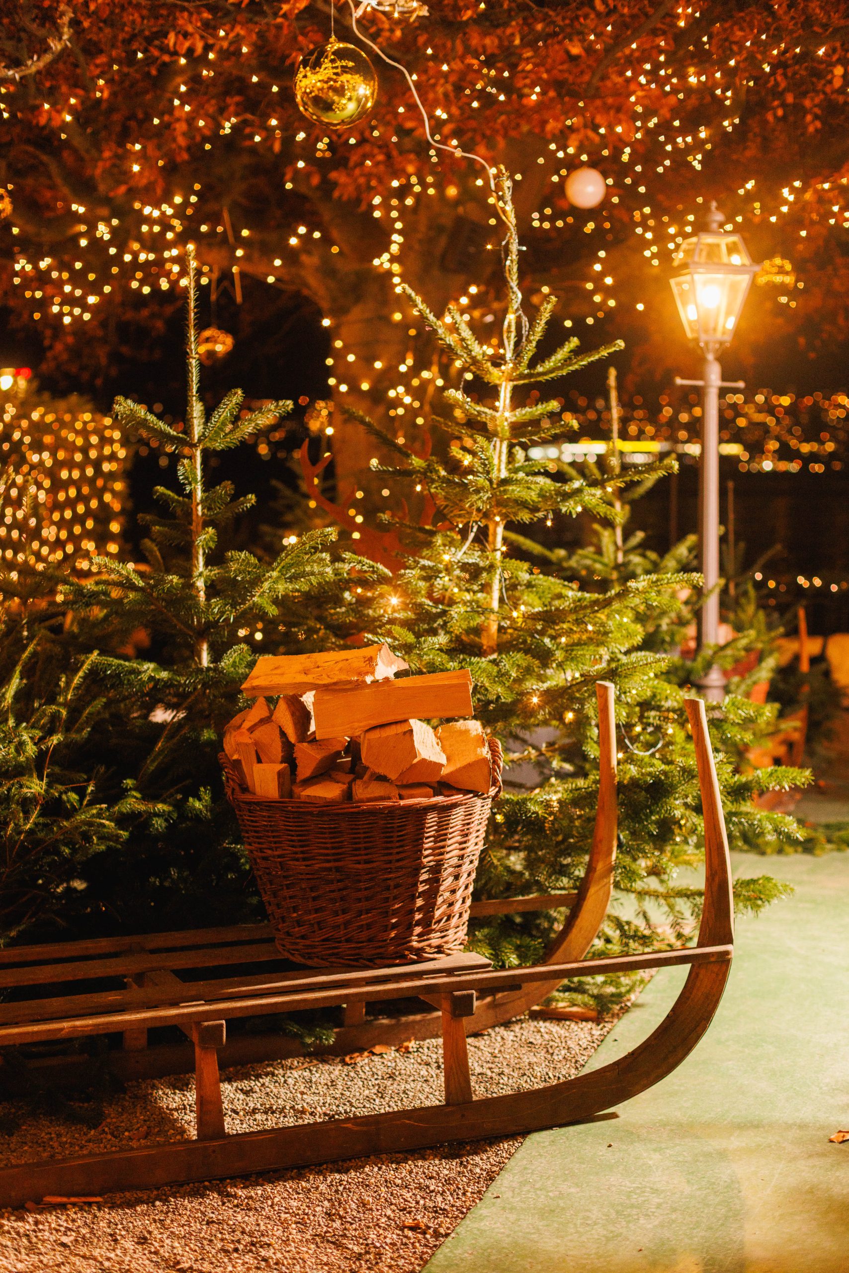 Eine festliche Szene im Freien mit einem Holzschlitten, in dem ein Weidenkorb mit Brennholz steht, umgeben von Tannenbäumen und Lichterketten, unter einem mit warmen, leuchtenden Lichterketten geschmückten Baum. Auf der rechten Seite leuchtet ein Laternenpfahl.