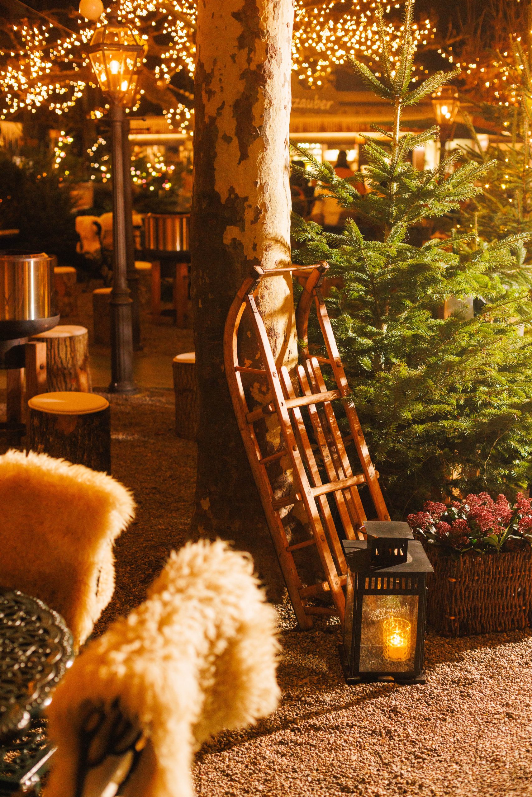 Eine gemütliche nächtliche Szene im Freien mit einem Holzschlitten, der an einen Baum gelehnt ist, einer Laterne, die daneben leuchtet, fellbezogenen Stühlen und glitzernden Lichterketten, die eine festliche, warme Atmosphäre schaffen.