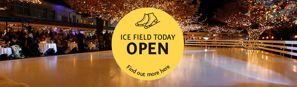 icefield open